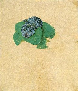 Nosegay Of Violets — Albreht Direr, Northern Renaissance