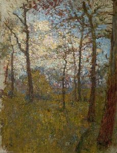Edge of the Copse
