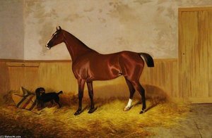 Study Of A Horse — Colin Graeme Roe