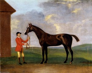 Captain Dennis O Kellys Basilimo Held By A Groom Pic — Francis Sartorius Ii (john Francis Sartorius)
