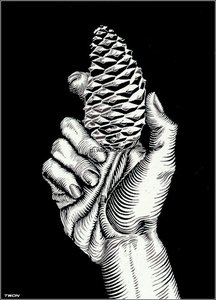 With Fir Cone — Maurits Cornelis Escher