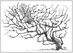A Tree — Martiros Sarian