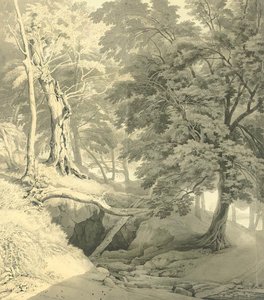 Ugbrooke, Devon 1 — John White Abbott