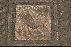 Mosaic Of Galinule Before Conservation — Edwin C. Brock