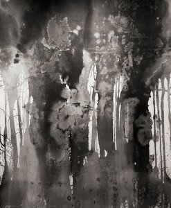 Invisibilities — Paula Klien