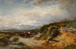 Siabod Flats, Near Betws-y-coed