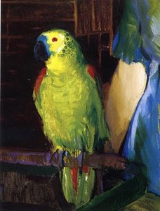 Parrot — George Wesley Bellows