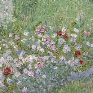 Daubigny's Garden 3 — Vincent Willem Van Gogh, Post-impressionism