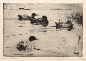 Mallards — Frank Weston Benson
