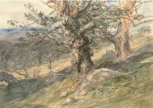 Gnarled Oaks In Bolton Park, Yorkshire — David Cox