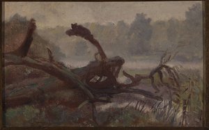 Deep Forest – Windthrows, Sketch For A Painting — Юзеф Хелмоньский