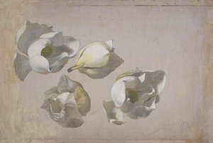 Study Of Four Magnolia Blossoms — Мартин Джонсон Хед