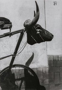 Torito (little Bull), Coyoacán, Ciudad De México — Graciela Iturbide, Nada