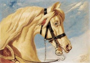 Head Of A Grey Arab — John Frederick Herring Senior