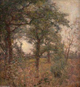 Woodland Scene