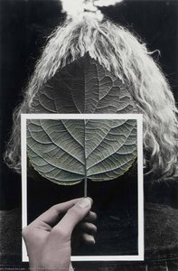 Len's Leaf