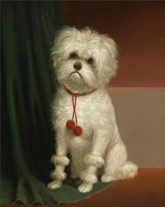 Untitled — Carl Reichert
