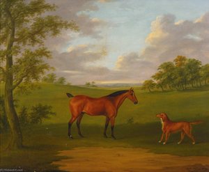 A Hunter and a Retriever in an Extensive Wooded Landscape