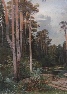 Forest Road In Sokolniki — Aleksey Savrasov