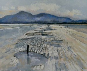 Kite Flying, Dundrum