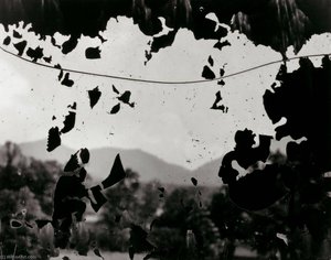 North Carolina 9 — Aaron Siskind, Abstract Expressionism
