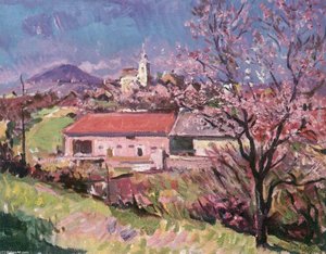 Village View At Zánka