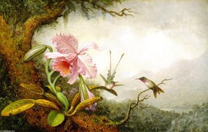 Hummingbirds And Orchids — Martin Johnson Heade