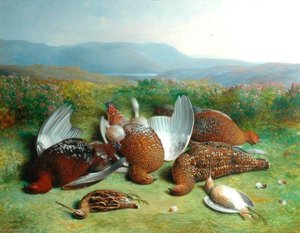Moorland Scene with Dead Grouse