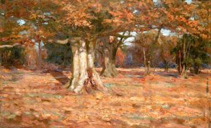 In The Woods — Byron Cooper