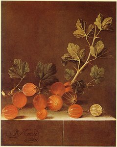 English Spray Of Gooseberries On A Stone Plinth — After Adriaen Coorte