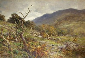 A Rocky Pass, North Wales