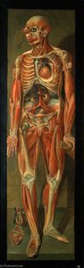 A Standing Dissected Man Looking To Left, With Two Separate Figures Of The Heart — Jacques Fabien Gautier Dagoty