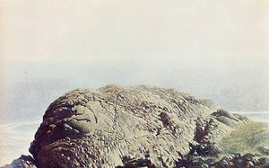 Gull Rock — Jamie Wyeth