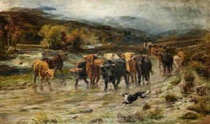 Highland Cattle On A Moorland — Joseph Denovan Adam