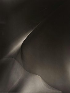 Untitled (photogenic) — Lotte Jacobi