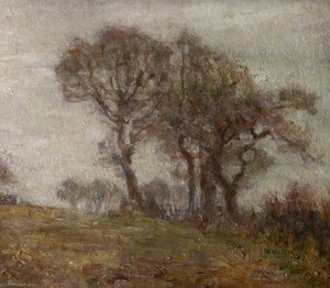 Trees in Winter