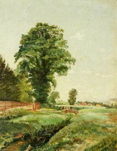 Unidentified Landscape (possibly Rockfield Road)