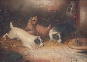 Trois Fox-terriers Jouant Avec Une Souris Dans Une Cage — George Armfield (smith)