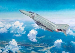 First Air Defence Phantom Over The Falkland Islands — Gerald Palmer