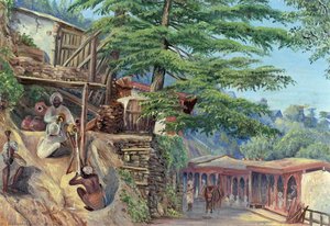 Fuente De Agua, Simla (shimla), Himachal Pradesh, India — Marianne North