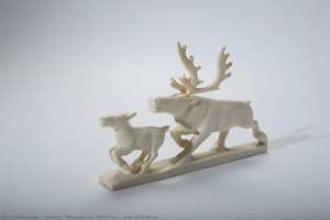 Doe with fawn