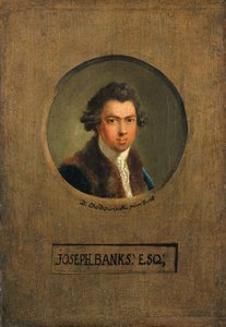 The Botanist Joseph Banks — Даниэль Николаус Чодовский