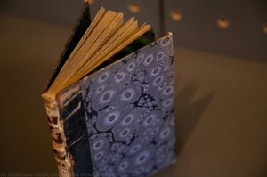 Top of the spine from