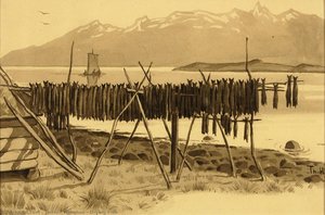 Drying Fish
