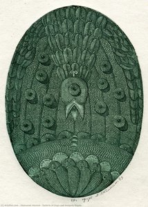 Exlibris Of Zoya And Anayoly Nayda — Oleksandr Aksinin