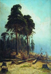 Pine Forest — Ivan Ivanovich Shishkin