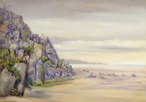 View In The Salinas, Chili — Marianne North, Impressionistic Landscape