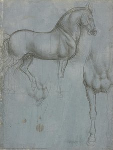 Studien Eines Pferdes — Leonardo Da Vinci