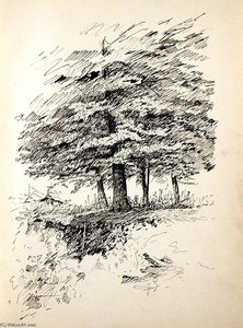 Tree 7 — John Ottis Adams