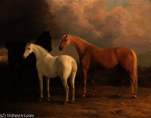 A bay hunter, a palomino and a grey pony, in a landscape